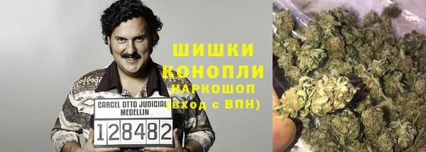 крисы Балахна