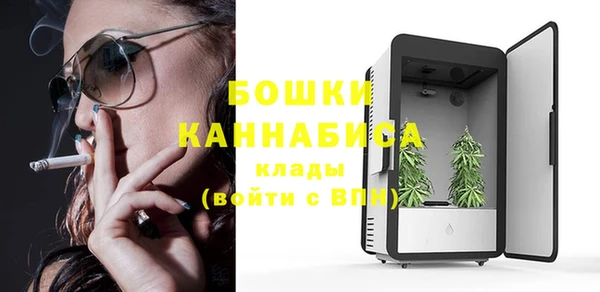 крисы Балахна
