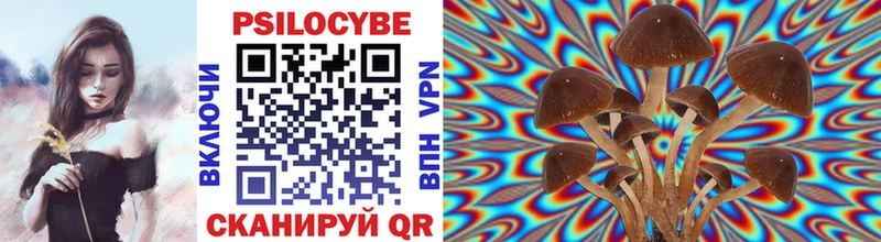 Псилоцибиновые грибы Psilocybine cubensis  гидра онион  Чекалин 